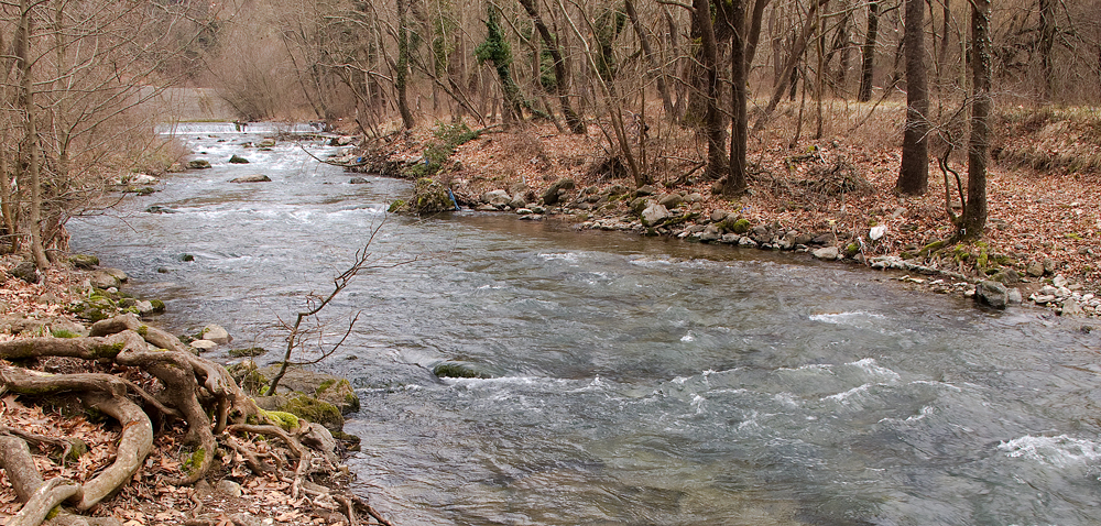 Οι Διψασμένοι Χιλιάδες