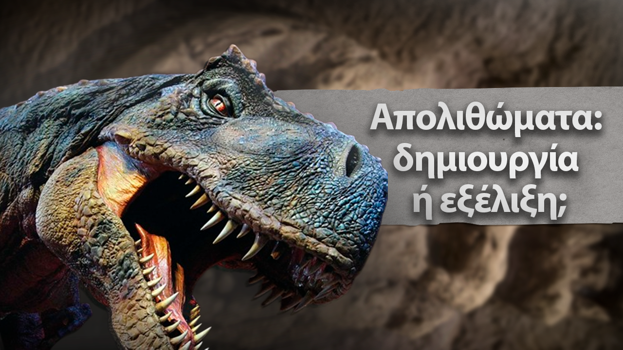 Απολιθώματα: δημιουργία ή εξέλιξη;