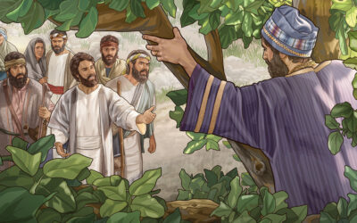 Η Ιστορία του Ζακχαίου